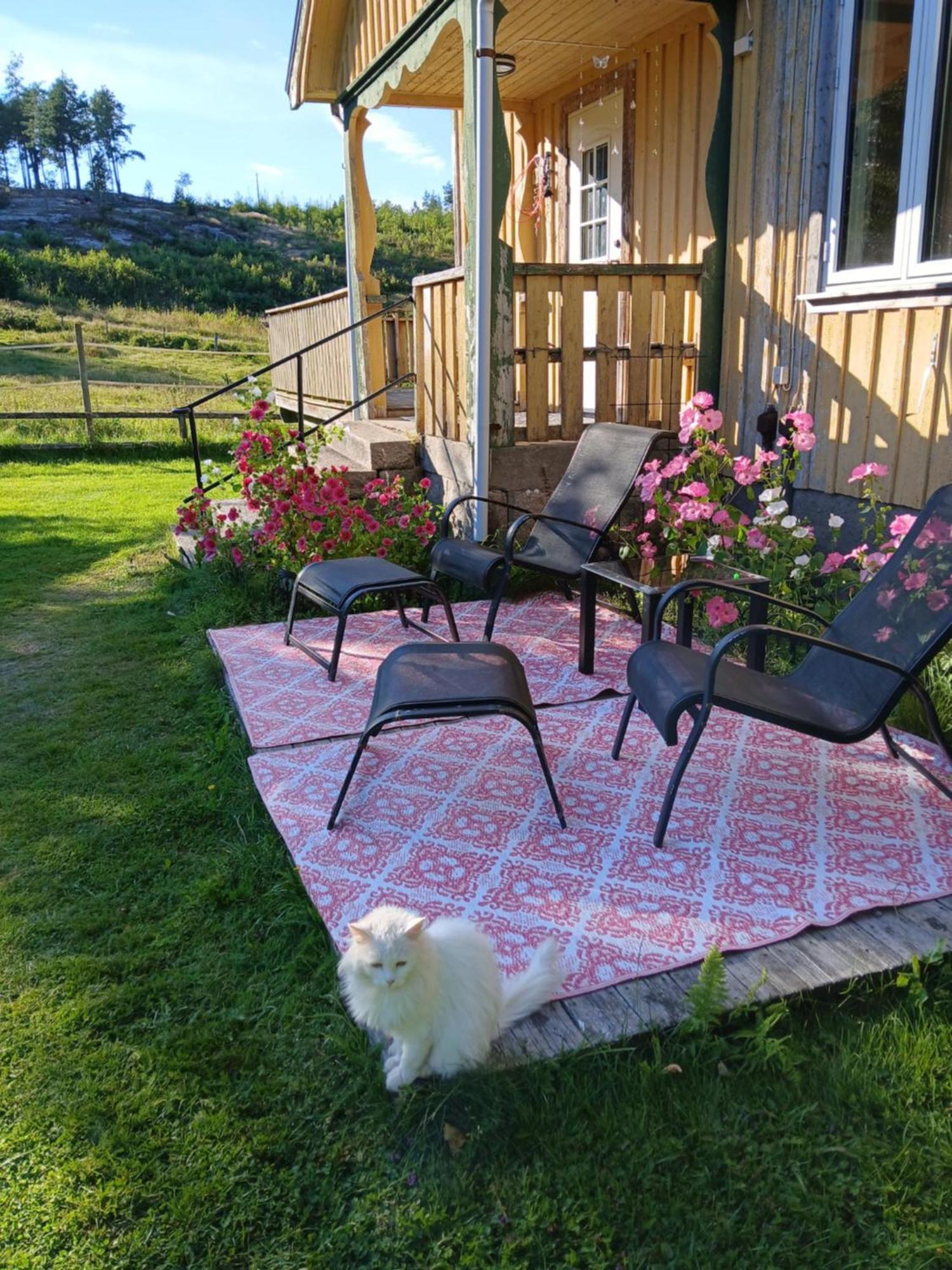 Charmigt Hus Pa Landet Naera Till Bad Strömstad Esterno foto